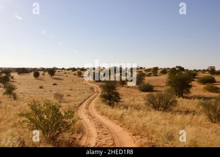 Route de terre dans le Kgalagadi Banque D'Images