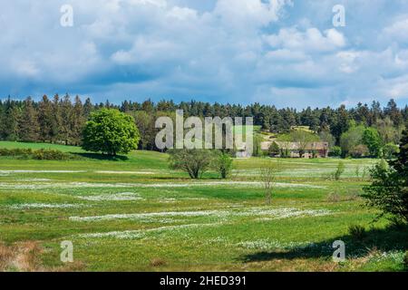 France, Lozère, Mont Lozère et Goulet, environs du hameau de Chasserades sur le sentier Stevenson ou GR 70 Banque D'Images