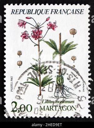 FRANCE - VERS 1983 : un timbre imprimé en France montre le nénuphars de Martagon, plante à fleurs, vers 1983 Banque D'Images