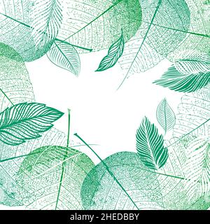 Cadre carré de feuilles vertes.Illustration vectorielle Illustration de Vecteur