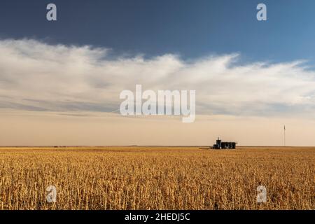 Oakley, Kansas - réservoirs de stockage de pétrole sur une ferme dans l'ouest du Kansas. Banque D'Images