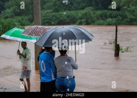 SÃO PAULO, SP - 08.01.2022: FORMATION DES PALMIERS - de fortes pluies ont frappé la ville de Sadará dans la région métropolitaine de Belo Horizonte causant des inondations et des inondations dans les maisons.(Photo: Hanna Gabriela/Fotoarena) Banque D'Images