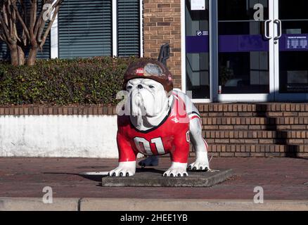 Athènes, Géorgie, États-Unis.10th janvier 2022.L'esprit d'équipe des Georgia Bulldogs est exposé dans le centre-ville d'Athènes, en Géorgie, où se trouve l'Université de Géorgie, alors que leur équipe est sur le point de faire face à l'Université d'Alabama Crimson Tide ce soir dans le championnat national de football Playoff 2022 à Indianapolis.(Credit image: © Brian Cahn/ZUMA Press Wire) Banque D'Images