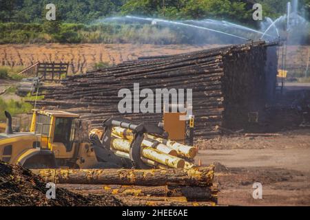 Les bûches sont pulvérisées avec de l'eau pour éviter les dommages causés par les insectes par une journée extrêmement chaude - équipement transportant des bûches - flou dû à la brume et à la poussière dans l'air Banque D'Images