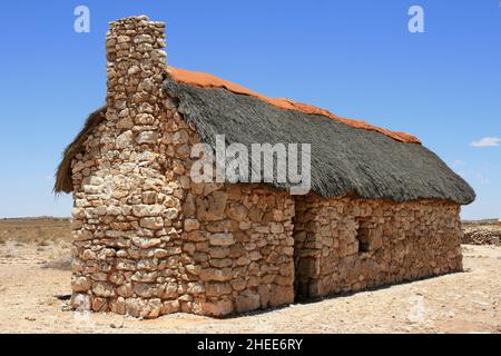 Auchterlonie dans le parc transfrontalier de Kgalagadi, Afrique du Sud Banque D'Images