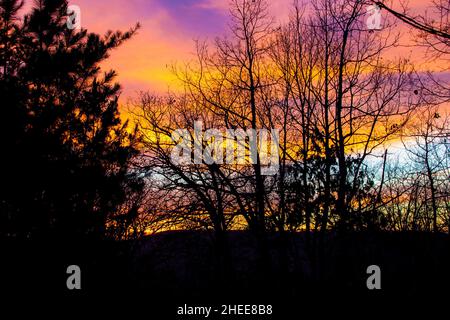 Coucher de soleil en bandes dans les bois derrière des sihlottes d'arbres sur la colline. Banque D'Images