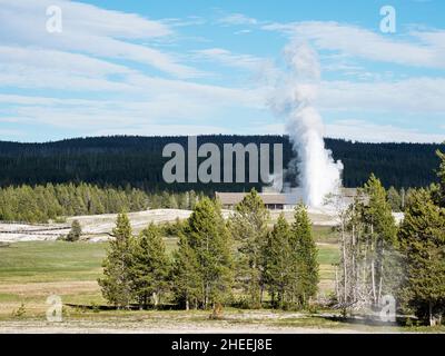 Le geyser conique appelé Old Faithful Eruption dans le parc national de Yellowstone, Wyoming, USA. Banque D'Images