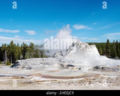 Château Geyser à la vapeur dans le parc national de Yellowstone, Wyoming, États-Unis. Banque D'Images