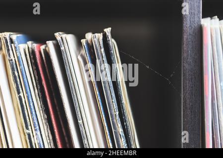 Étagère en bois pleine de disques en vinyle.Collection vintage avec toile d'araignée. Banque D'Images
