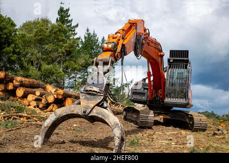 Les grumes de pin ont été décortiquées et coupées prêtes à être empilées sur un camion de grumes pour la dépose.Machines forestières lourdes utilisées pour les arbres matures.Île du Nord, Nouvelle-Zélande Banque D'Images