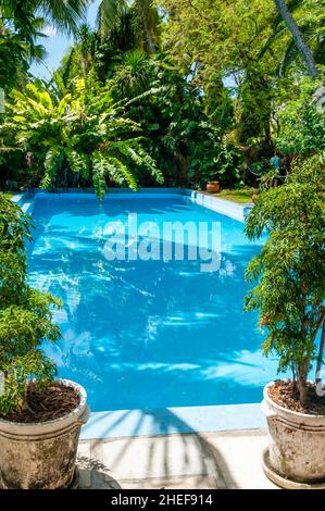 Key West, maison d'Ernest Heminway, piscine Banque D'Images