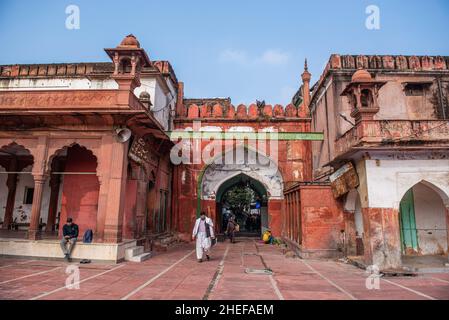 New Delhi, Inde.10th janvier 2022.Porte nord de la mosquée Fatehpuri l'une des plus anciennes mosquées d'Inde, qui a besoin d'une conservation urgente car plusieurs parties du monument de l'ère Mughal ont subi de graves dommages structurels, Chandni Chowk.Fatehpuri Masjid construite en 1650 après J.-C. par Fatehpuri Begum, une des épouses de l'empereur moghol Shah Jahan, la mosquée est construite en grès rouge et joliment décorée de petits dômes et minarets.Il marque le grand point culminant de la rue historique de chandni chowk.Crédit : SOPA Images Limited/Alamy Live News Banque D'Images