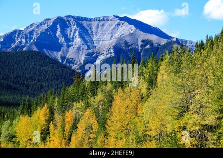 Le parc provincial de Sheep River est un parc provincial situé en Alberta, au Canada, à 23 kilomètres à l'ouest de Turner Valley, sur l'autoroute 546.Il fait partie du Kan Banque D'Images