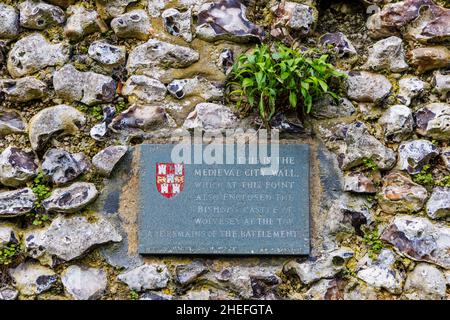 Plaque sur ses vestiges et ruines du mur médiéval de la ville par le château de l'évêque de Wolvesey aux Weirs à Winchester, Hampshire, Angleterre Banque D'Images