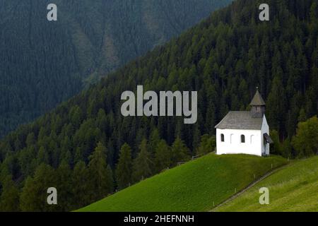 Photographie couleur d'une petite église blanche au sommet d'une colline dans une forêt de pins, Gomagoi, région de Stilfs, Tyrol du Sud, Italie, Europe, 2018. Banque D'Images