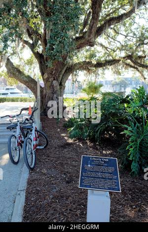 Plaque commémorative au Liberty Oak en l'honneur de Charles Fraser, fondateur de Sea Pines Plantation; Hilton Head, Caroline du Sud, États-Unis, lieu de sépulture Banque D'Images