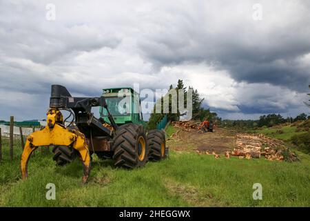 Les machines forestières, utilisées pour faire tomber les pins et empiler les grumes sur les terres agricoles, sont garées pour le week-end, Île du Nord, Nouvelle-Zélande Banque D'Images