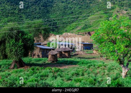 Vue panoramique sur les habitations en bois tribal au milieu de l'herbe verte et des arbres dans la vallée africaine de la rivière Omo, en Éthiopie Banque D'Images