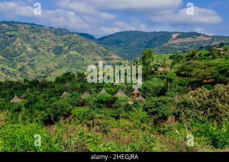 Vue panoramique sur les habitations en bois tribal au milieu de l'herbe verte et des arbres dans la vallée africaine de la rivière Omo, en Éthiopie Banque D'Images