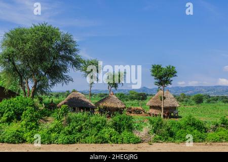 Vue panoramique sur les habitations en bois tribal au milieu de l'herbe verte et des arbres dans la vallée africaine de la rivière Omo, en Éthiopie Banque D'Images