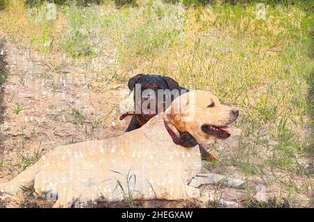 Portrait de l'esprit des chiens au repos pendant une randonnée.Une femelle Rottweiler et un mâle Labrador allongé sur le sable.Aquarelle numérique Banque D'Images