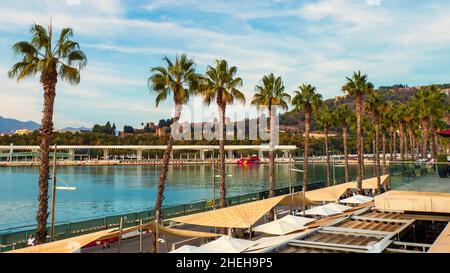 Vue panoramique sur le quai un du port de Malaga avec ses palmiers en premier plan. Banque D'Images