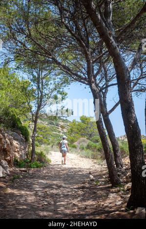 Far de Tramuntana Trail, Ile Dragonera, Majorque, Espagne Banque D'Images