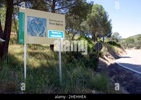 PANNEAU À L'ENTRÉE DU PARC NATIONAL DE LA SIERRA MORENA DANS LE SUD-OUEST DE L'ESPAGNE.LE PANNEAU DEMANDE AUX AUTOMOBILISTES DE RALENTIR TOUT EN TRAVERSANT LE PARC OÙ SE TROUVENT QUELQUES-UNS DES RARES LYNX IBÉRIQUES RESTANTS QUI SONT EN VOIE D'EXTINCTION.PHOTO GARY ROBERTS Banque D'Images