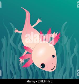 Dessin vectoriel numérique d'un axolotl.Ses yeux sont inégaux.La salamandre nageait dans l'eau avec un fond aquatique coloré. Illustration de Vecteur