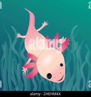 Dessin vectoriel numérique d'un axolotl.Ses yeux sont inégaux.La salamandre nageait dans l'eau avec un fond aquatique coloré. Illustration de Vecteur