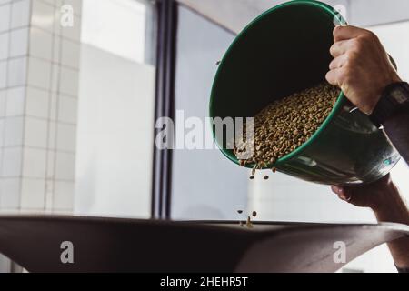 Entrepreneur verse des grains de café crus dans une machine à rôtir moderne. Banque D'Images