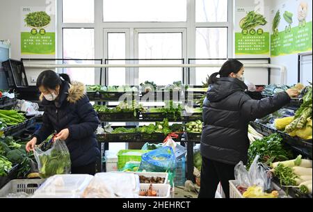 (220111) -- TIANJIN, le 11 janvier 2022 (Xinhua) -- les résidents sélectionnent des légumes dans un magasin du nord de la Chine, Tianjin, le 11 janvier 2022.La municipalité de Tianjin en Chine du Nord, qui a été témoin de la dernière résurgence de la COVID-19, a lancé un mécanisme d'intervention d'urgence pour garantir l'approvisionnement en produits de première nécessité quotidiens.selon le bureau de commerce municipal de Tianjin, les autorités locales ont mobilisé les principaux fournisseurs de gros,supermarchés et marchés des légumes pour ajouter des stocks afin de faire face à la demande du marché pour la viande, les oeufs et les légumes.Actuellement, les principaux marchés de gros de la ville pour l'agriculture Banque D'Images