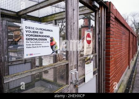 Heidelberg, Allemagne.11th janvier 2022.Un panneau indiquant « cette volière est temporairement fermée » est accroché à une cage à oiseaux au zoo d'Heidelberg.Comme une grippe aviaire a été détectée chez une oie rouge morte au zoo d'Heidelberg, l'établissement ferme ses volières à travers le jardin pour le moment.Credit: Uwe Anspach/dpa/Alamy Live News Banque D'Images