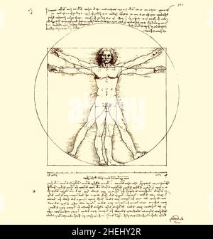 leonardo da vinci vitruvian encre homme croquis avec page de texte vecteur détaillé isolé sur fond beige Illustration de Vecteur