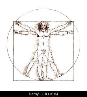 leonardo da vinci vitruvian encre homme page d'esquisse vecteur détaillé isolé sur fond blanc Illustration de Vecteur