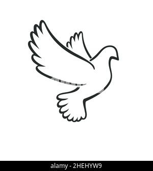 beau vol blanc paix colombe pigeon oiseau contour silhouette vecteur isolé sur fond blanc Illustration de Vecteur