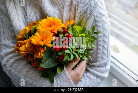 Un bouquet de gerberas orange vif et jaune, de chrysanthèmes et de baies rouges dans les paumes des mains est tenu par quelqu'un dans un blanc confortable tricoté sw Banque D'Images