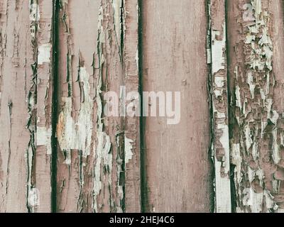 Fragment d'un vieux mur en bois, panneaux verticaux avec peinture pelée, endommagée, égratignures et éclats. Banque D'Images