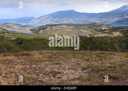 Paysage caractéristique de la Patagonie, sud du Chili Banque D'Images