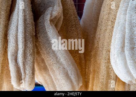 Éponges de loofah à vendre dans le souk, Aqaba, gouvernorat d'Aqaba, Jordanie. Banque D'Images