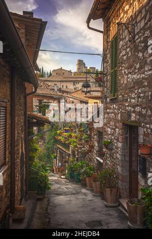 Rue Assise et forteresse Rocca Maggiore.Province de Pérouse, région de l'Ombrie, Italie. Banque D'Images