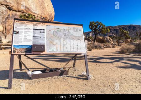 San Bernardino County, CA, États-Unis - 5 janvier 2022 : sentier Cap Rock dans le parc national de Joshua Tree, comté de San Bernardino, CA. Banque D'Images