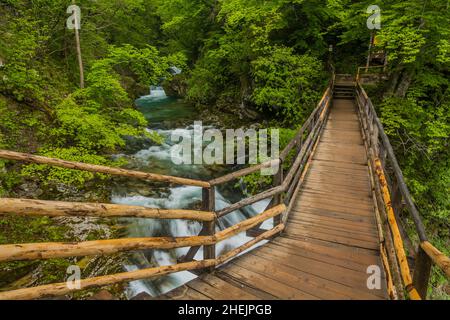 Promenade dans la gorge de Vintgar près de Bled, Slovénie Banque D'Images