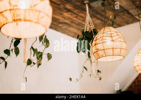 Lustres en osier faits main au plafond en bois, pots de fleurs suspendus avec plantes vertes sur fond de mur blanc.Style tendance et naturel. Banque D'Images