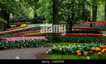 Un parc avec un mélange coloré de parterres de fleurs et de tulipes.L'exposition annuelle des bulbes de fleurs à Keukenhof (Lisse, pays-Bas) Banque D'Images