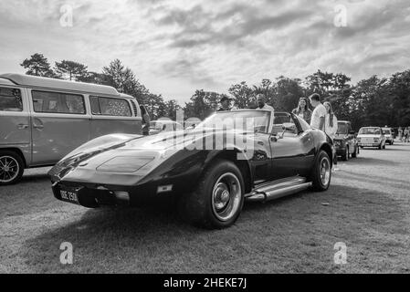 Chevrolet Stingray à l'exposition Banque D'Images