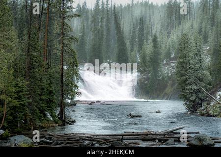 Le Parc National de Yellowstone Banque D'Images