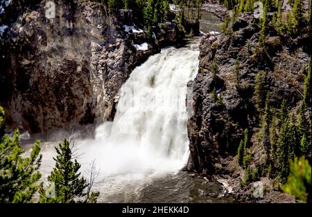 Le Parc National de Yellowstone Banque D'Images