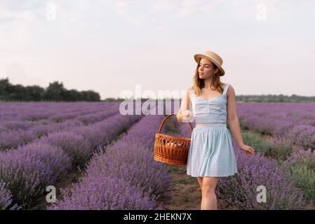 Saison d'été.Champs de lavande.Une fille qui pique-nique parmi les champs fleuris se tient dans une robe blanche et tient un panier dans ses mains. Banque D'Images