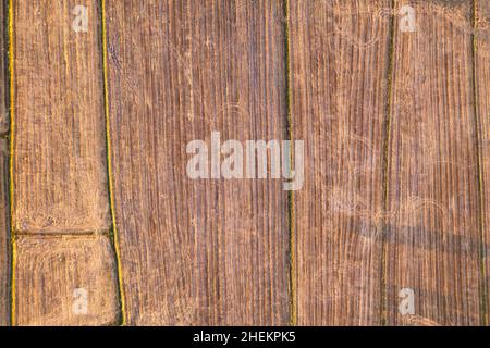 Vue de dessus des plantations récoltées et du sol de texture sur les terres agricoles en campagne Banque D'Images